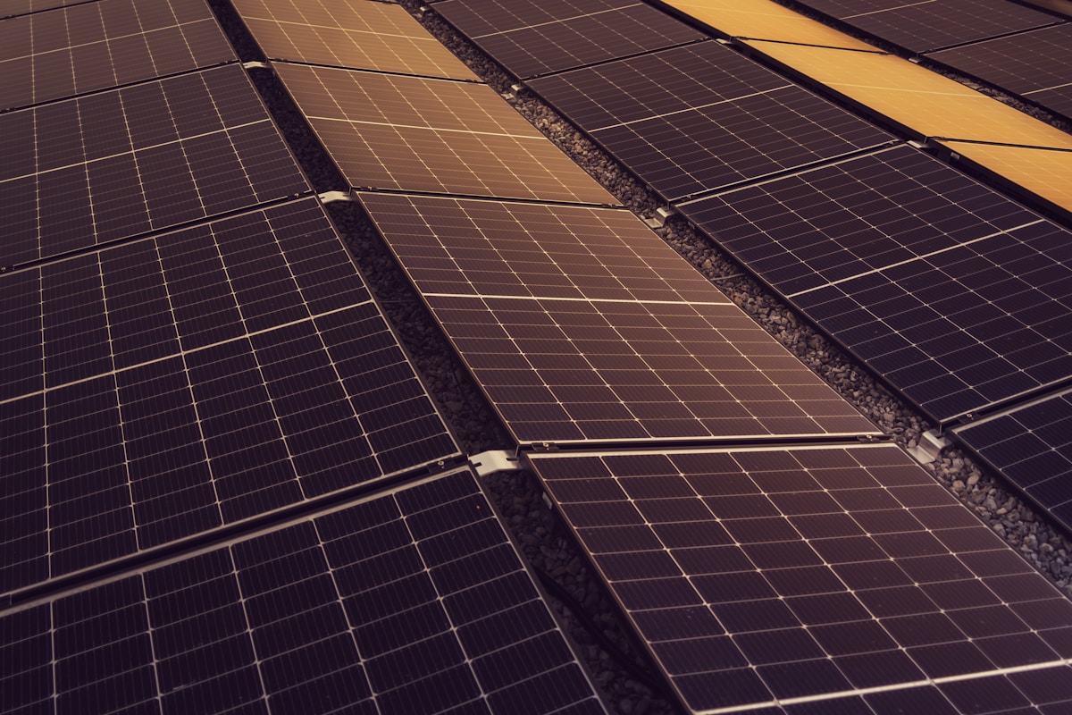 Ward Project — detail
